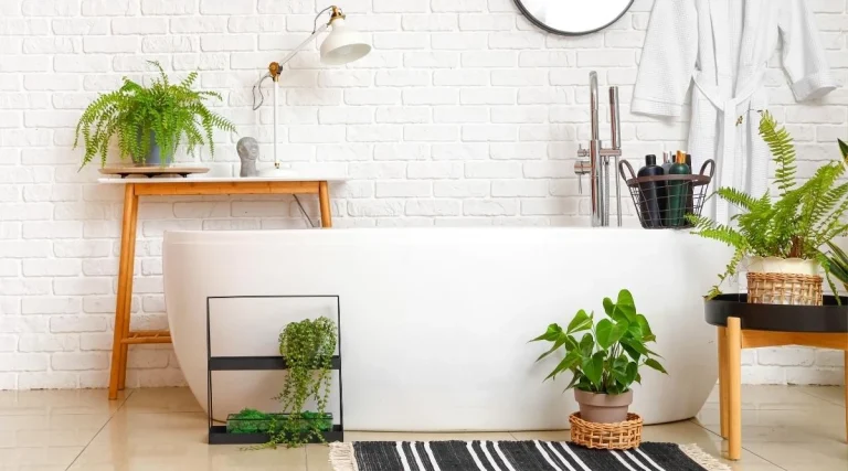 انواع گل و گیاهان مناسب حمام و سرویس بهداشتی